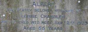 albert_detail