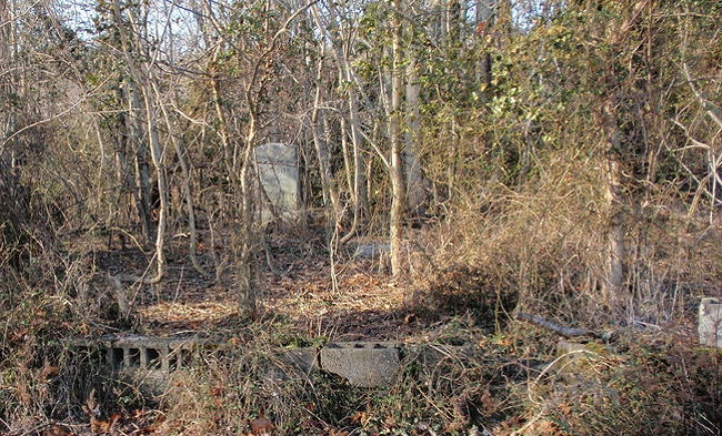 chandler_cemetery_newkent_loriebradshaw