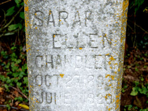 sarah_ellen_chandler_from_larry